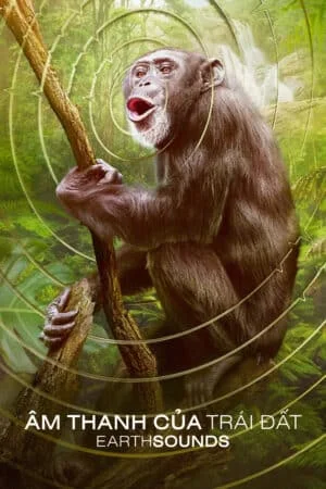 Âm Thanh Của Trái Đất